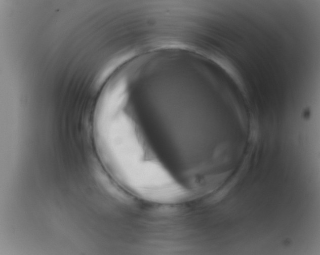 X0000113930806200910161850