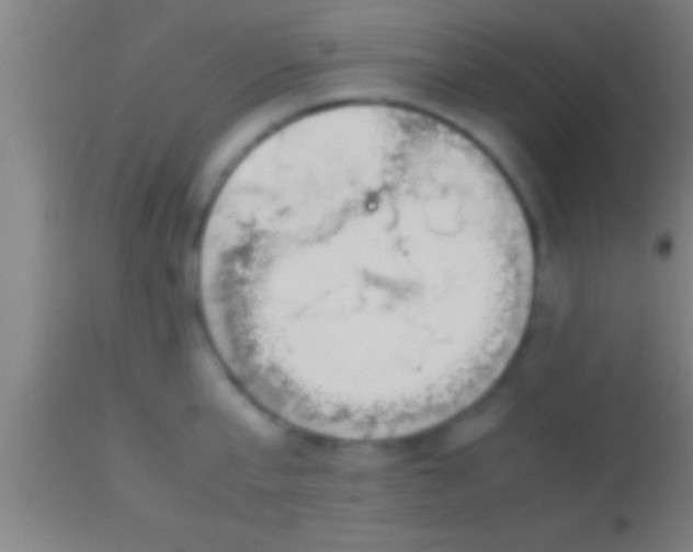 X0000113930807200910161850