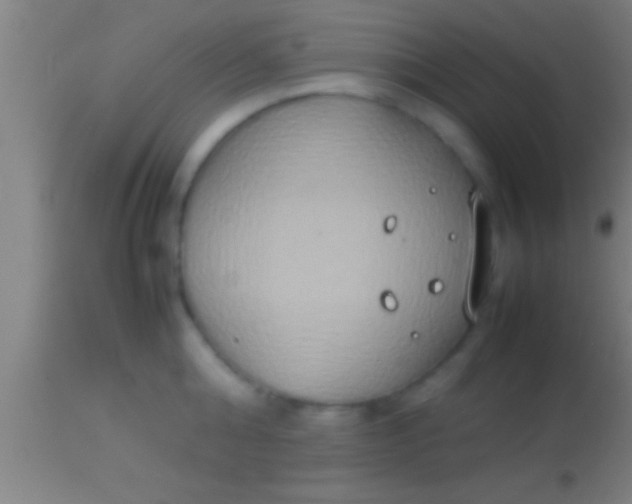 X0000113930808200910161850