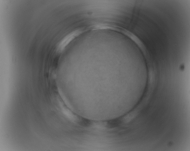 X0000113930809200910161850