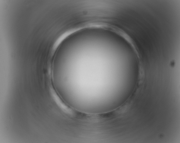 X0000113930811200910161850