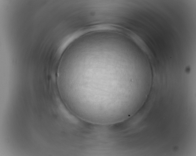 X0000113930813200910161850