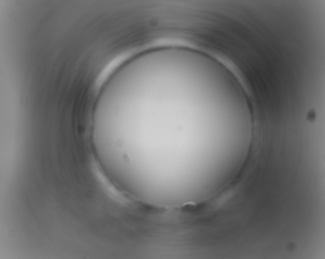 X0000113930815200910161850