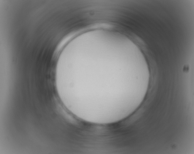 X0000113930816200910161850