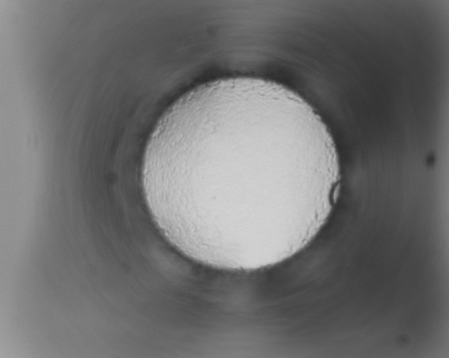 X0000113930817200910161849