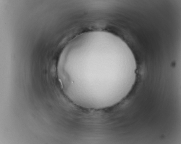 X0000113930818200910161849