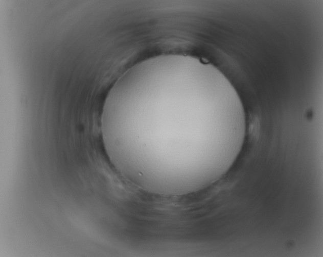 X0000113930819200910161849