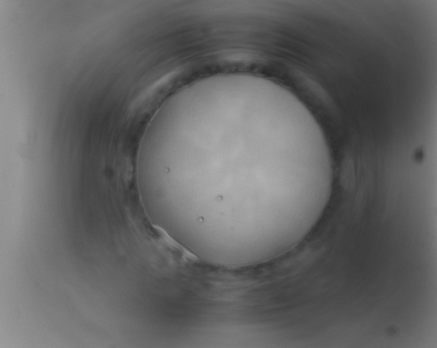 X0000113930821200910161849