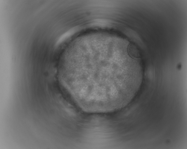 X0000113930822200910161849