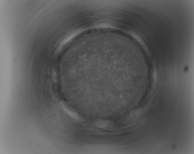 X0000113930823200910161849