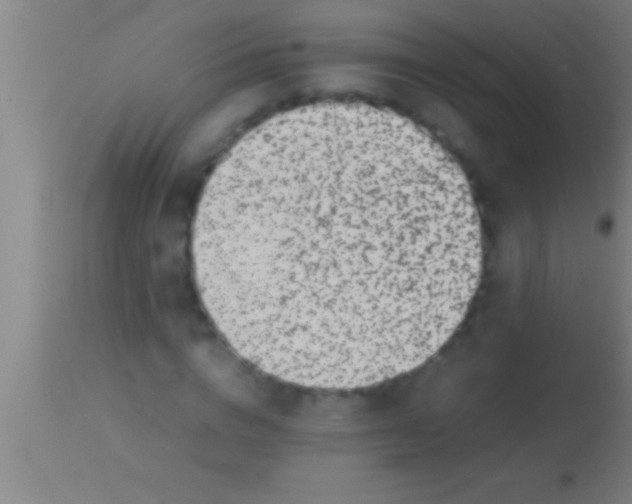 X0000113930824200910161849