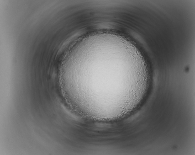 X0000113930825200910161849