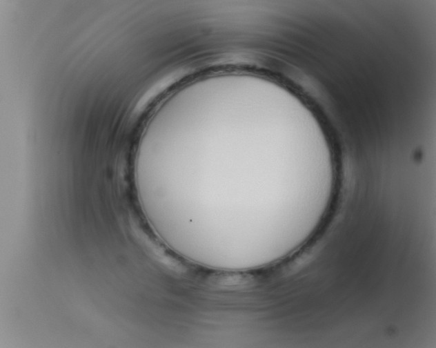 X0000113930826200910161849