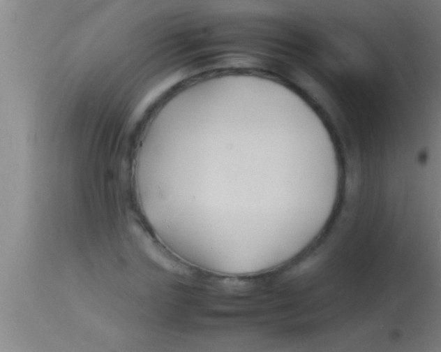 X0000113930827200910161849