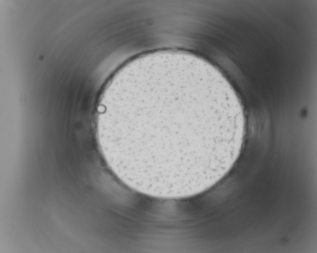 X0000113930828200910161849