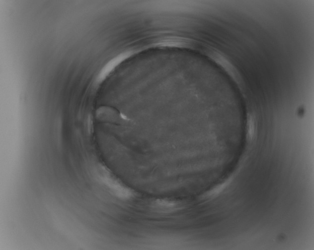 X0000113930829200910161849