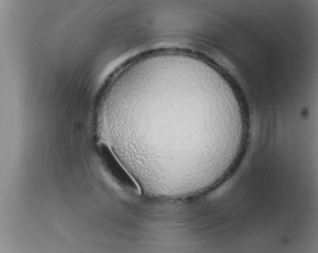 X0000113930830200910161849