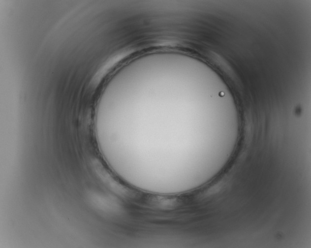 X0000113930831200910161849