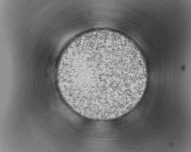 X0000113930832200910161849