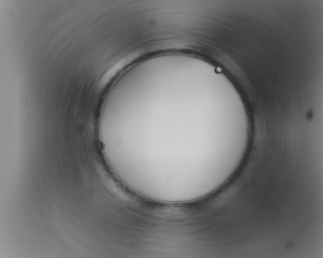 X0000113930834200910161849