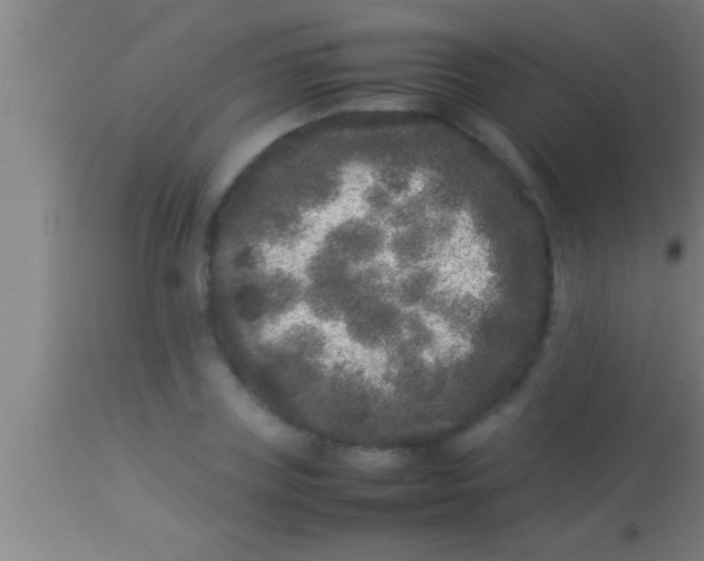 X0000113930835200910161849