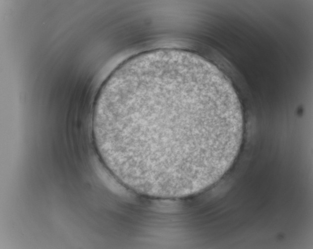 X0000113930836200910161849