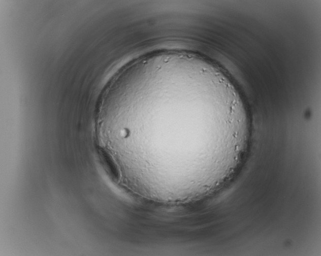 X0000113930837200910161849