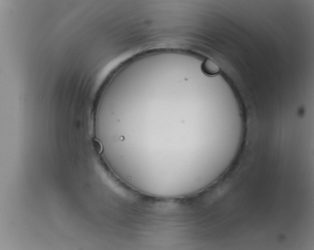 X0000113930838200910161849