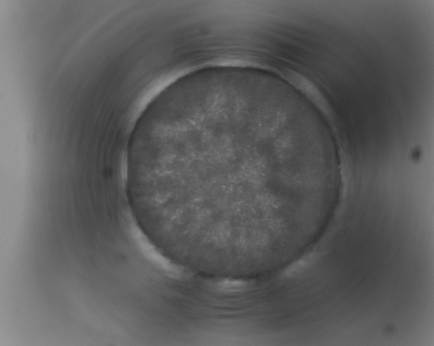 X0000113930839200910161849