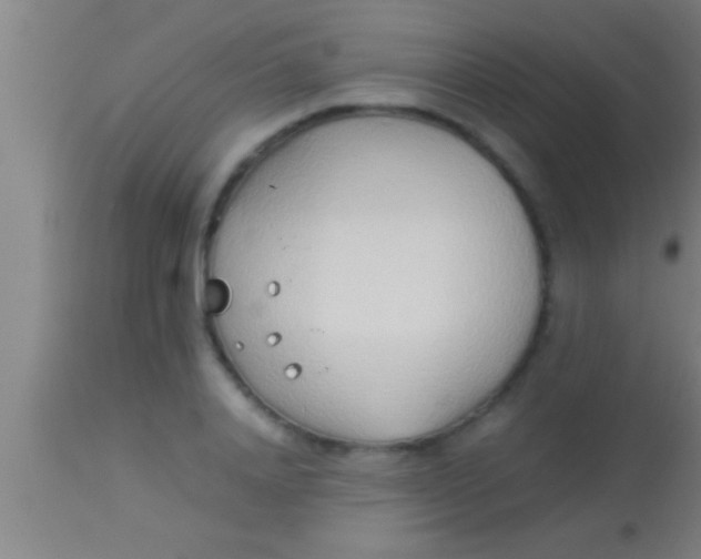 X0000113930840200910161849