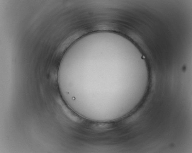 X0000113930841200910161849