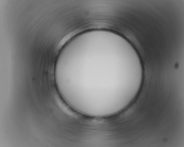 X0000113930842200910161849