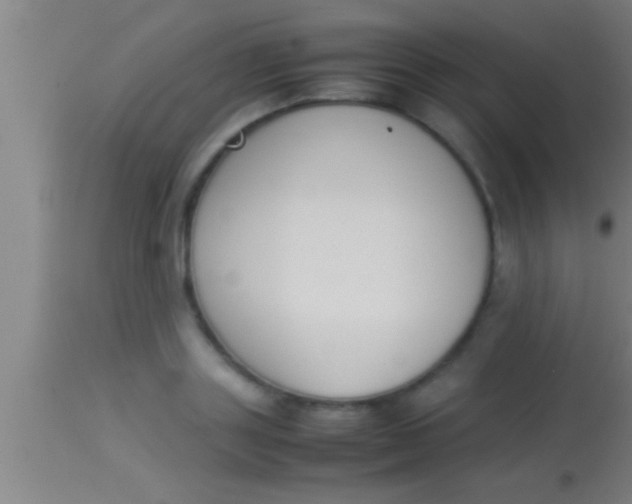 X0000113930843200910161849