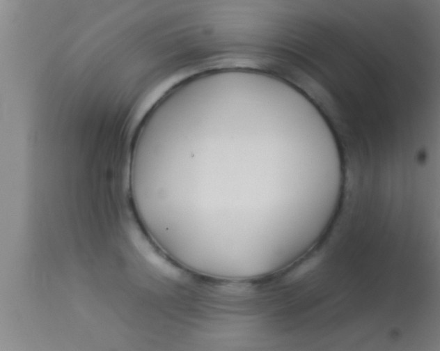 X0000113930844200910161849