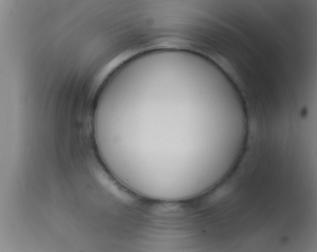 X0000113930846200910161849