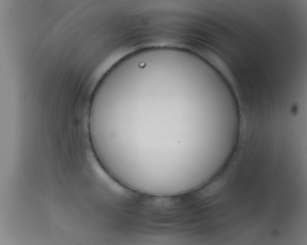 X0000113930847200910161849