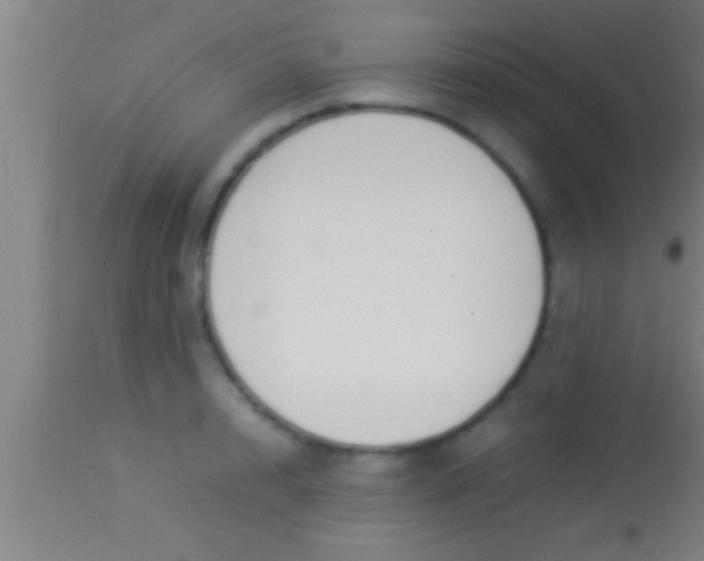 X0000113930848200910161849