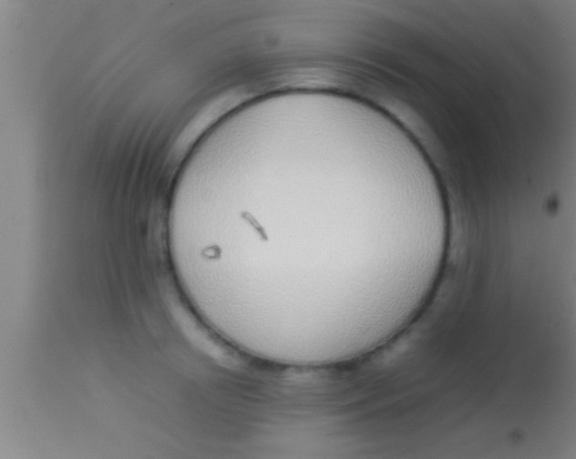 X0000113930850200910161849