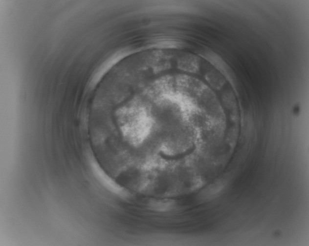 X0000113930851200910161849