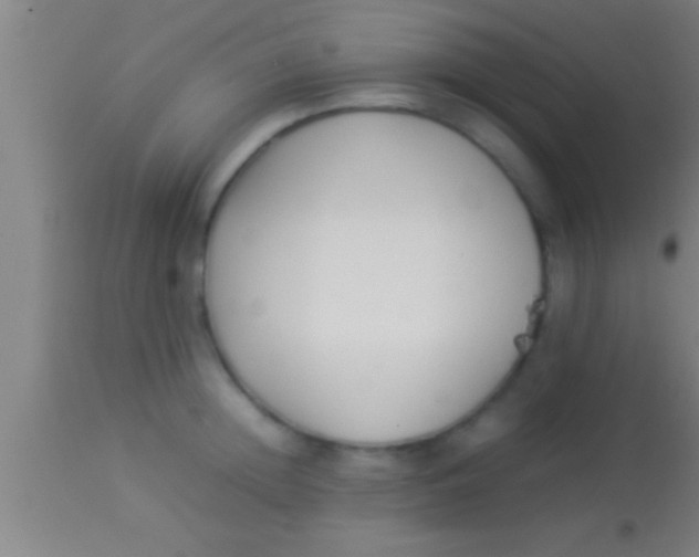 X0000113930852200910161849