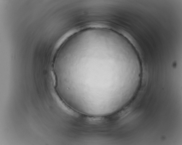 X0000113930853200910161849