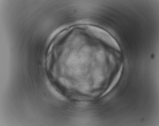 X0000113930854200910161849