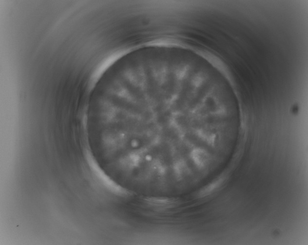 X0000113930855200910161849