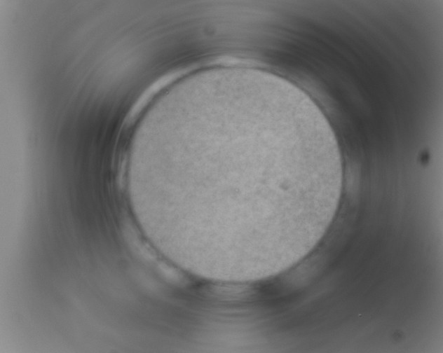 X0000113930856200910161849