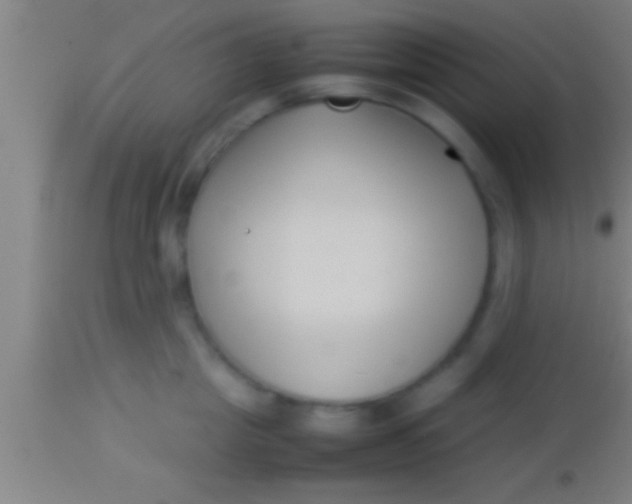 X0000113930857200910161849