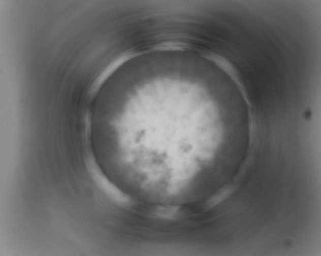 X0000113930859200910161849