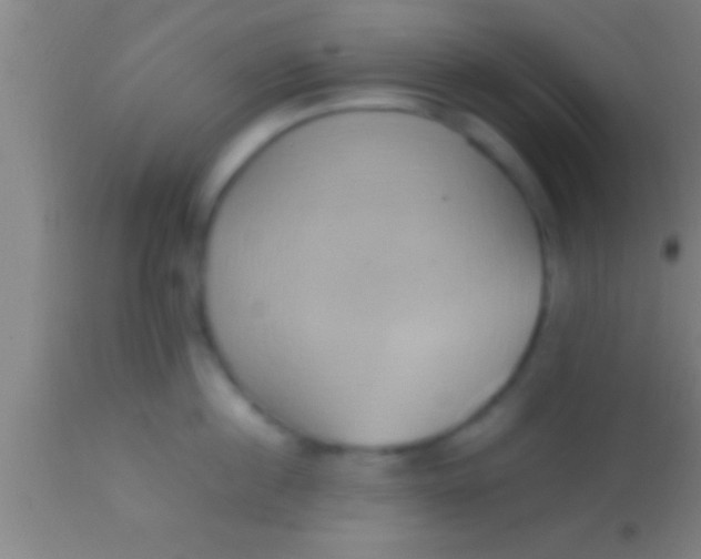 X0000113930860200910161849