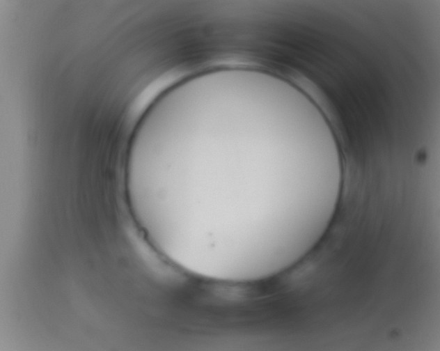 X0000113930861200910161849