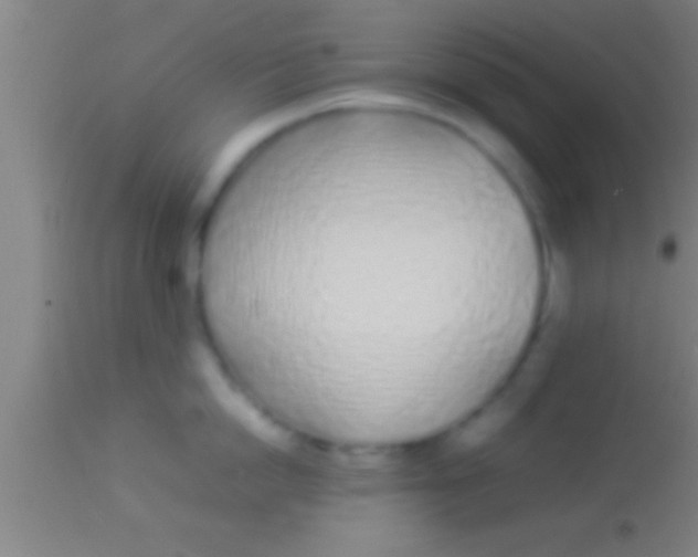 X0000113930862200910161850