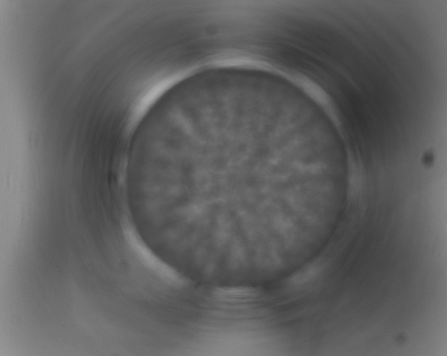 X0000113930863200910161850